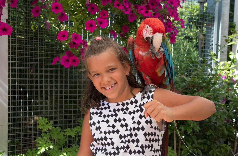 media.pappamondo_a6cvii (1)